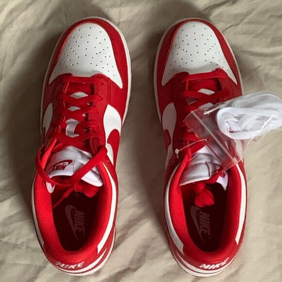 NIB Men’s Nike Dunk Low SP NWT eP